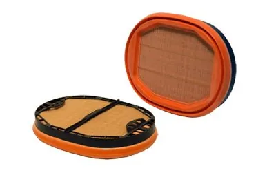 Secondary Air Filter